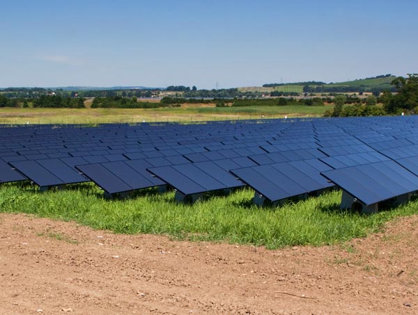 Have you been considering solar power for your business?